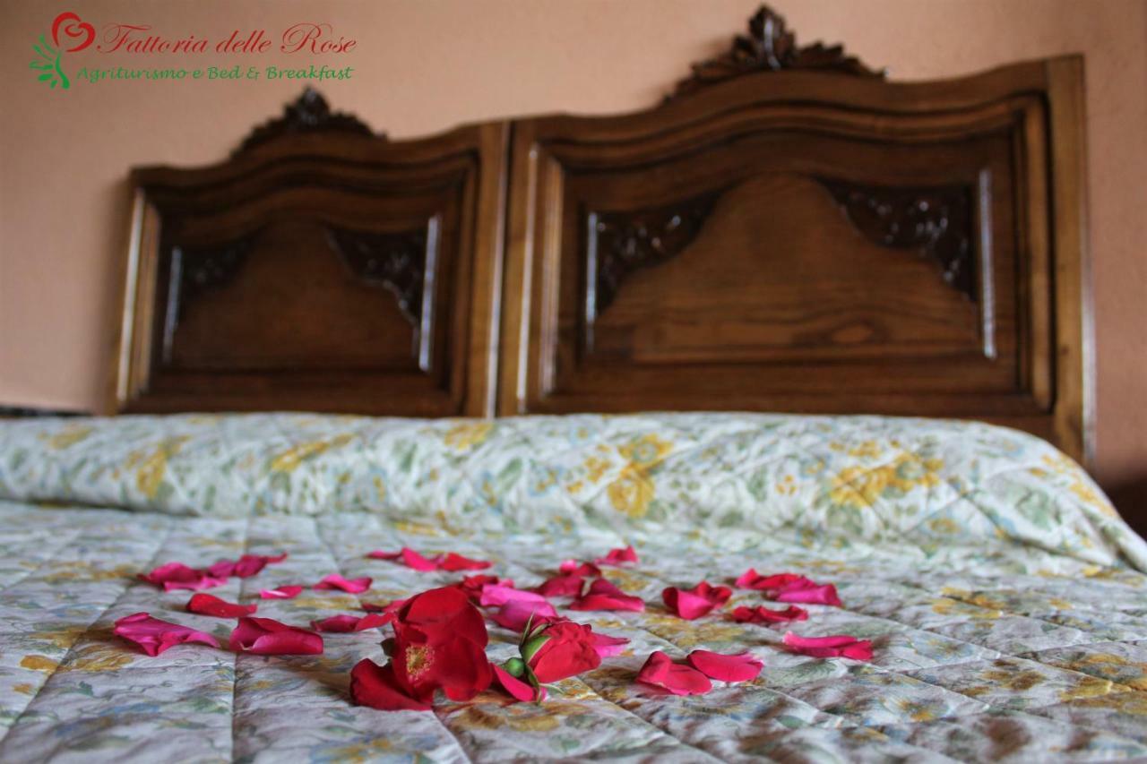 Fattoria Delle Rose Villa Salussola Exteriör bild